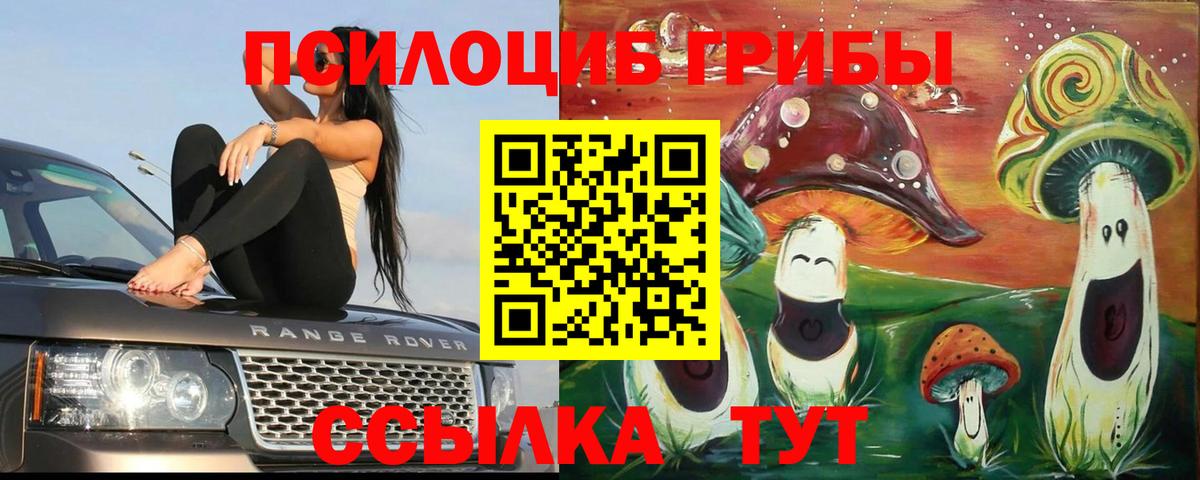 Галлюциногенные грибы мицелий Хасавюрт