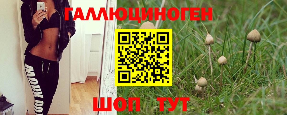 Псилоцибиновые грибы мухоморы  Вход с VPN  Хасавюрт  Псилоцибиновые грибы GOLDEN TEACHER 